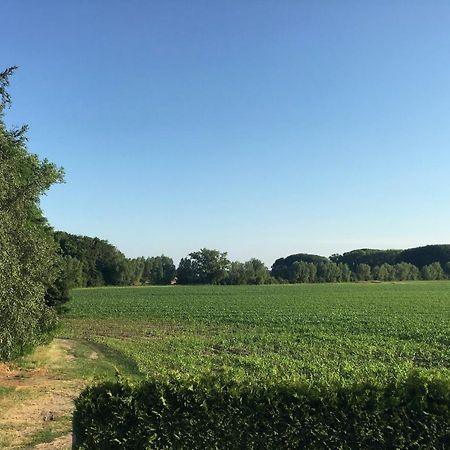 Gaestehaus Luessvitz Ummanz Exteriér fotografie