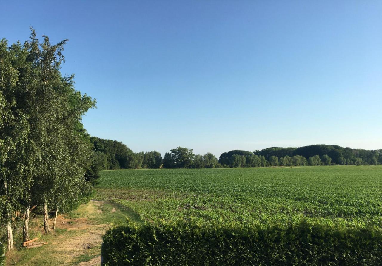 Gaestehaus Luessvitz Ummanz Exteriér fotografie